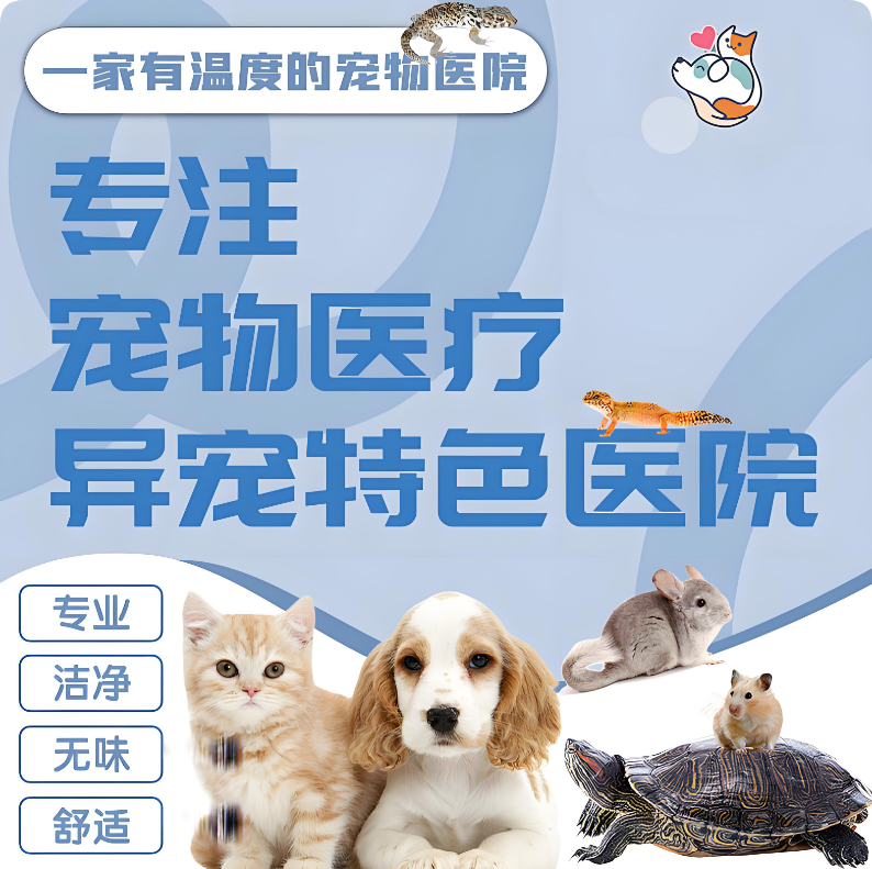 巧用美團/大眾點評“問大家”，讓寵主放心選擇你的醫院